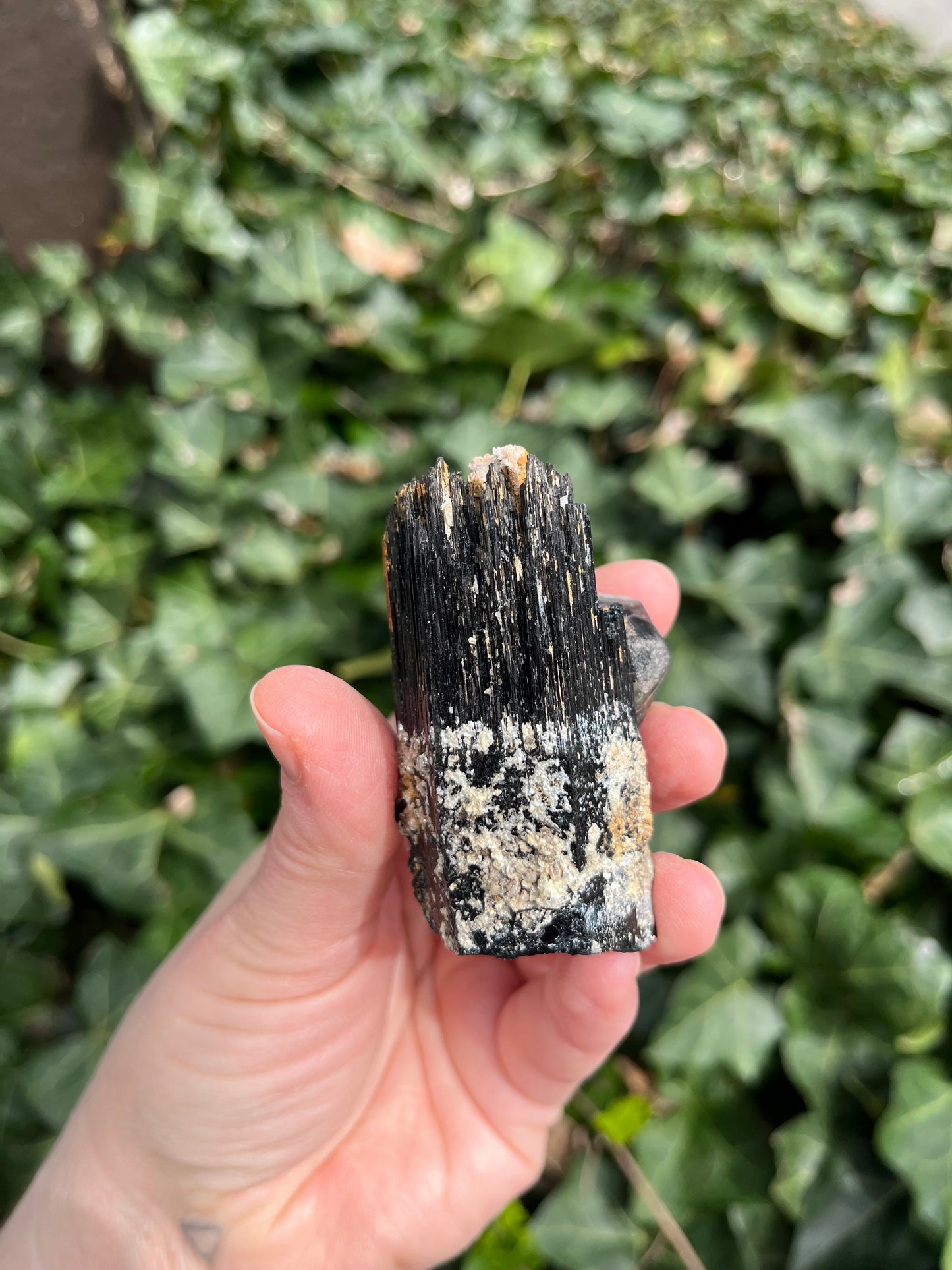 Fluorite on Schorl - Erongo Mnt. Region - Namibia - UV Reactive!