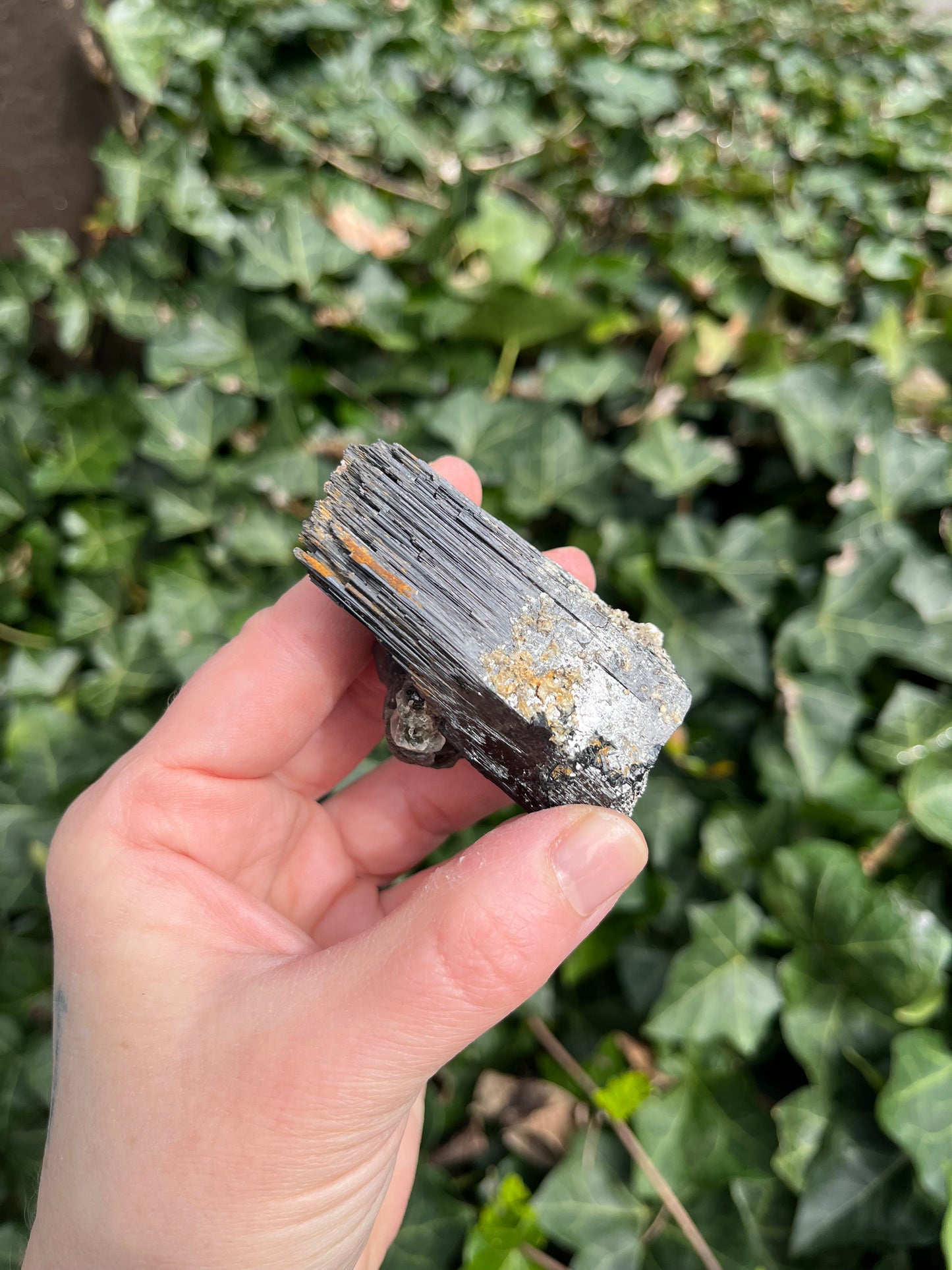 Fluorite on Schorl - Erongo Mnt. Region - Namibia - UV Reactive!