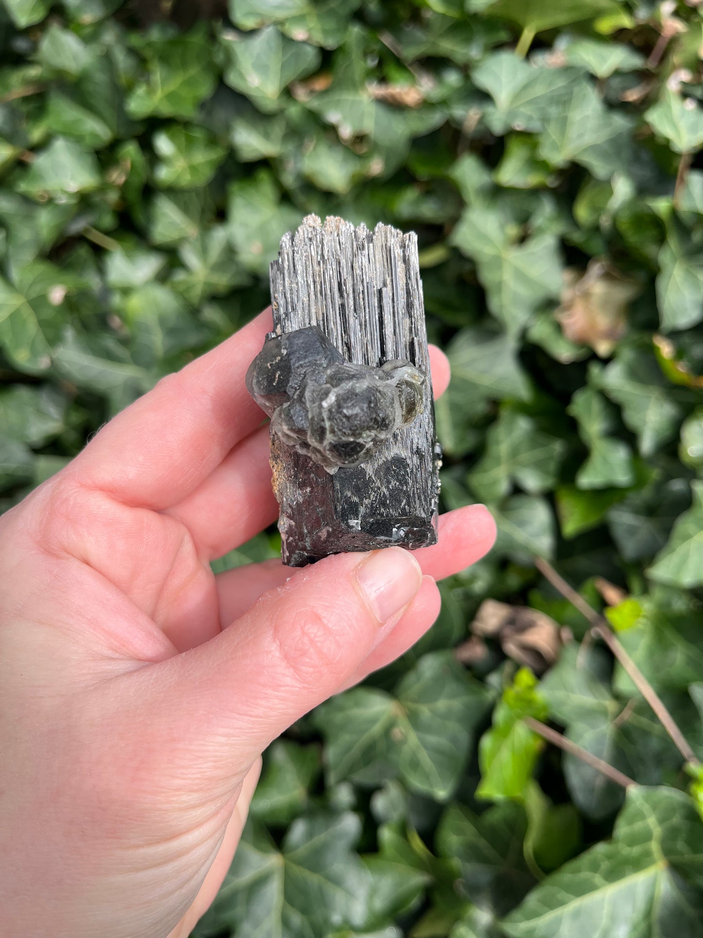 Fluorite on Schorl - Erongo Mnt. Region - Namibia - UV Reactive!