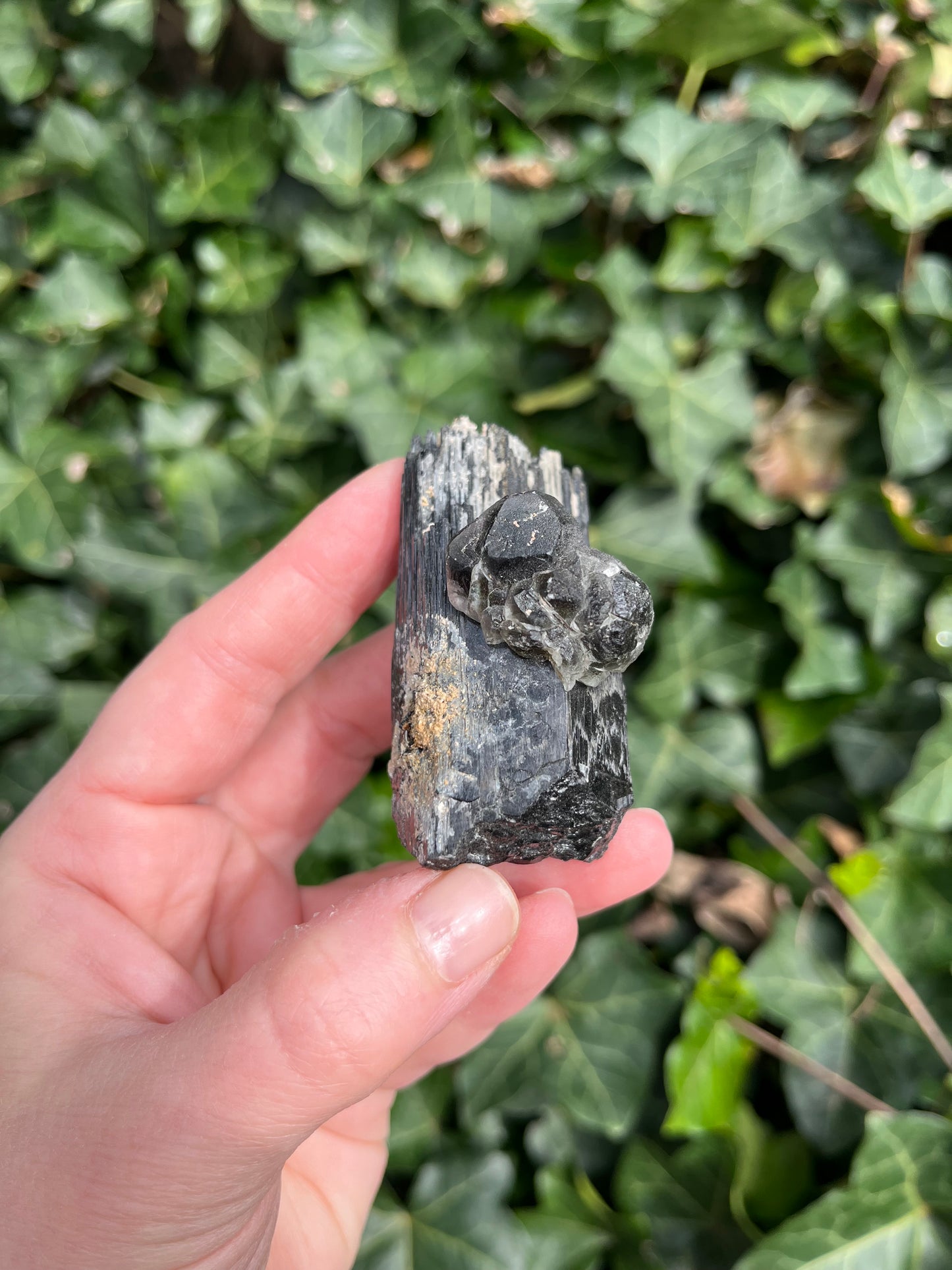 Fluorite on Schorl - Erongo Mnt. Region - Namibia - UV Reactive!