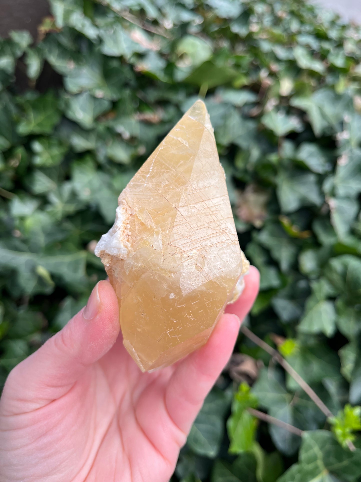 Large Dogtooth Calcite - Montana