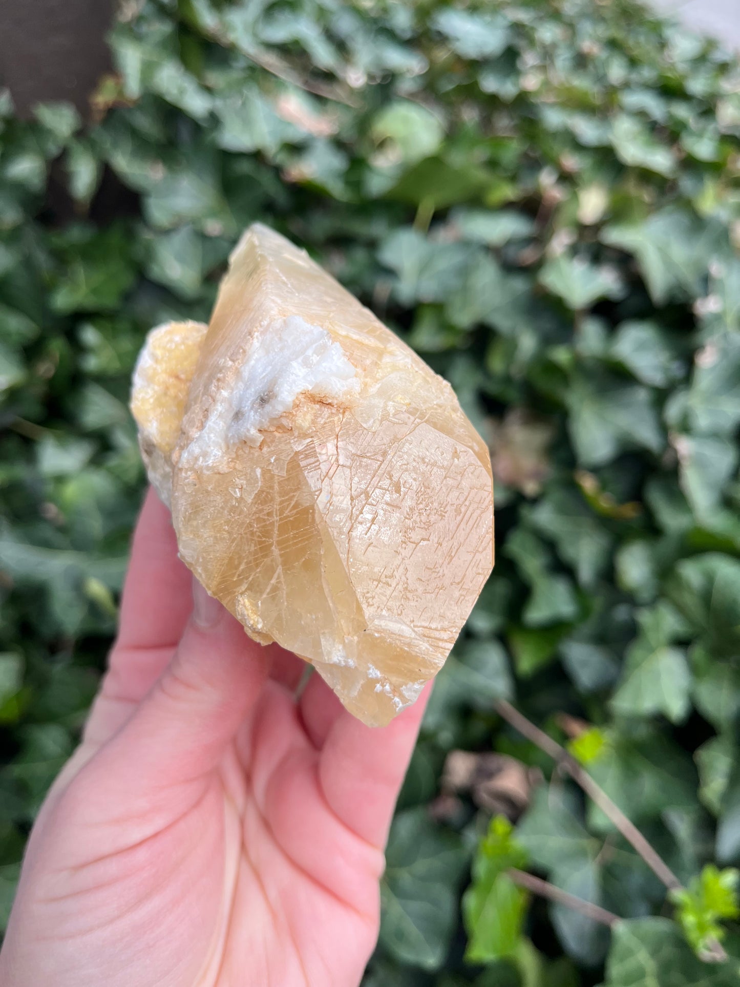 Large Dogtooth Calcite - Montana