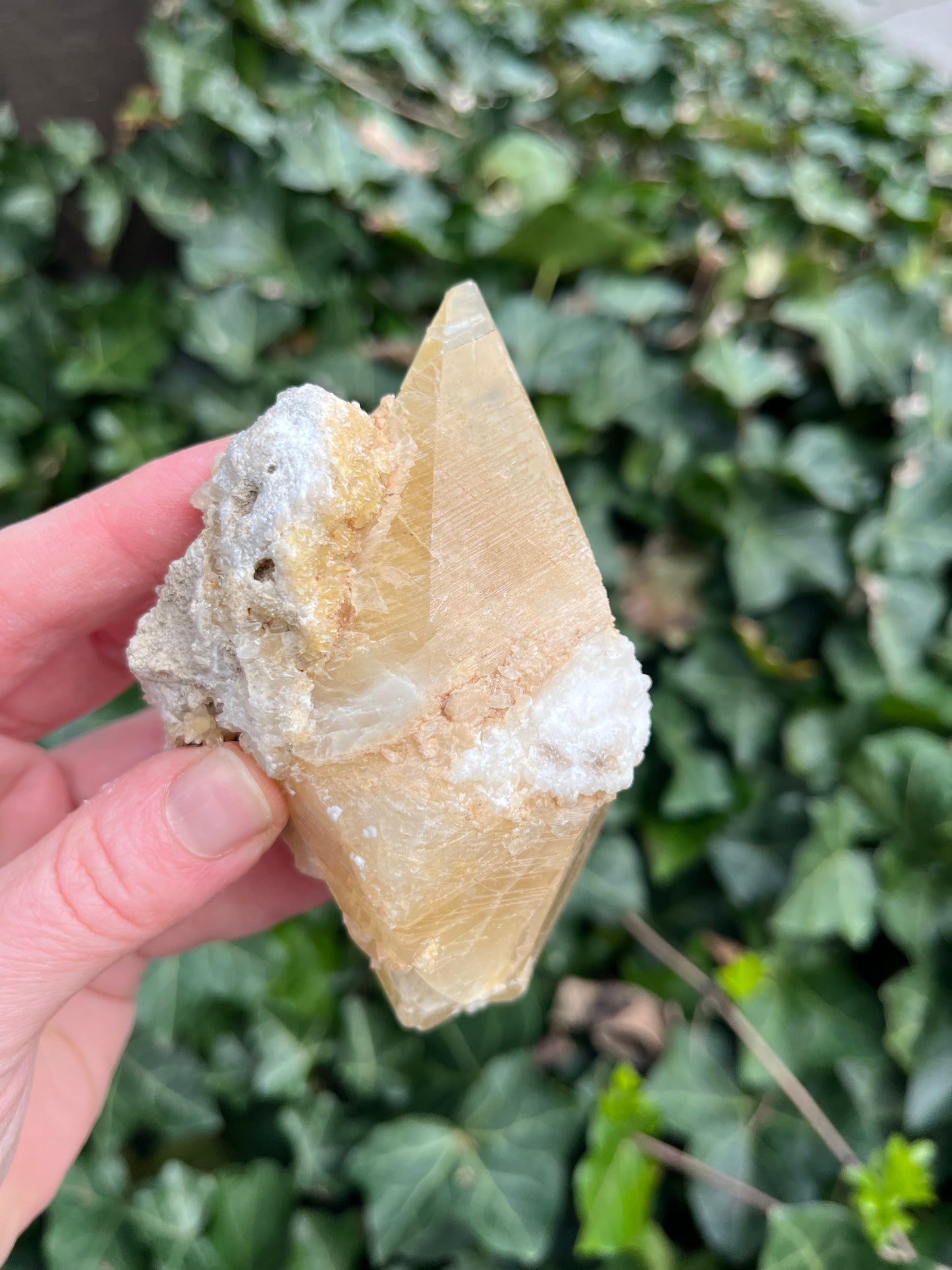 Large Dogtooth Calcite - Montana