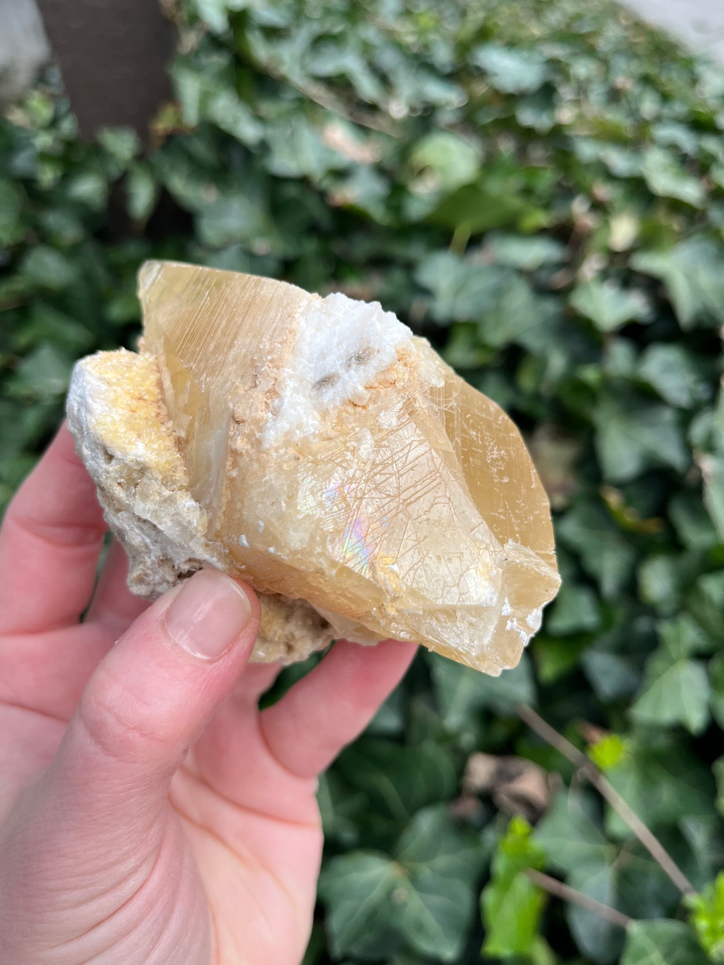 Large Dogtooth Calcite - Montana