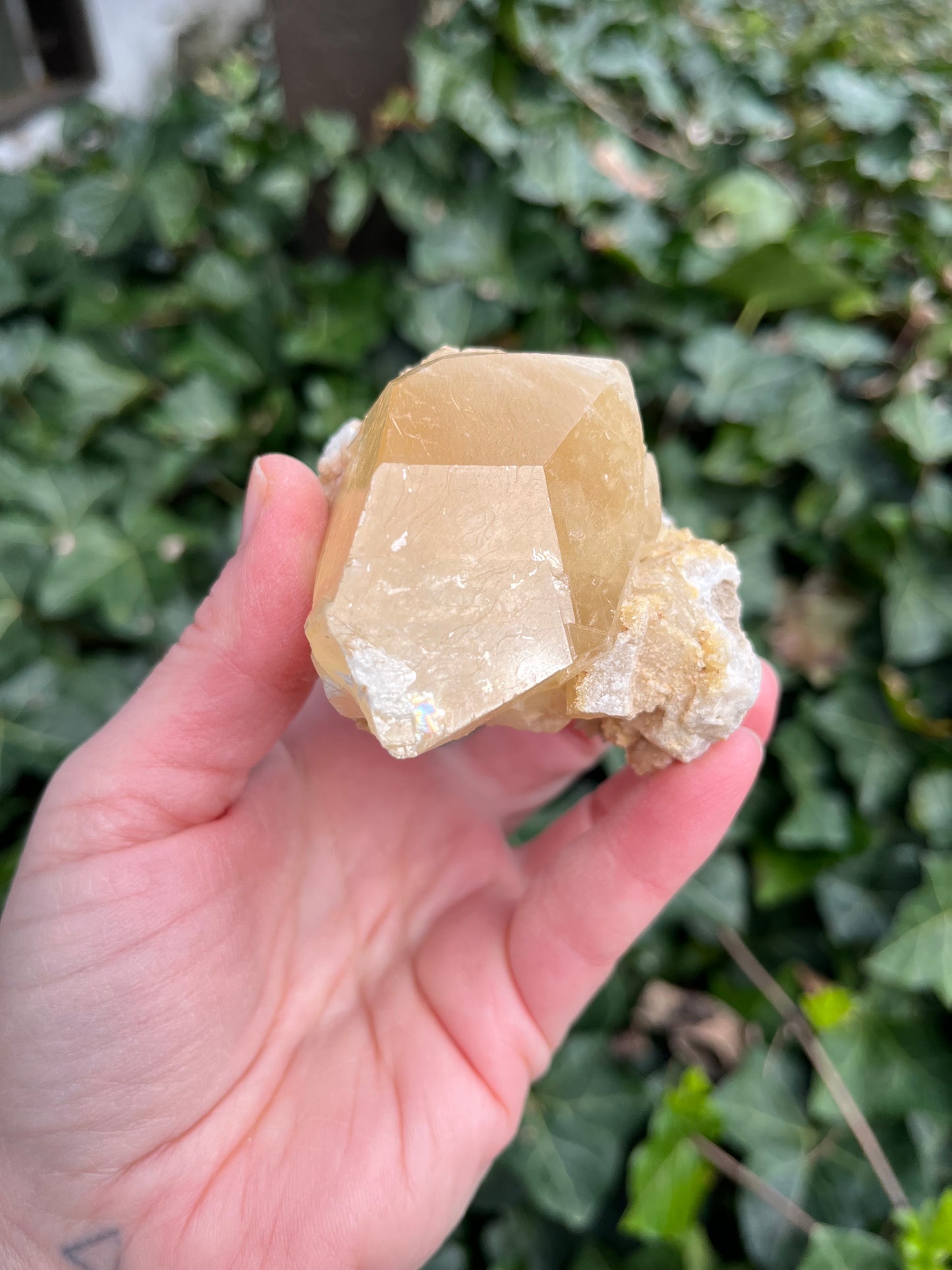Large Dogtooth Calcite - Montana