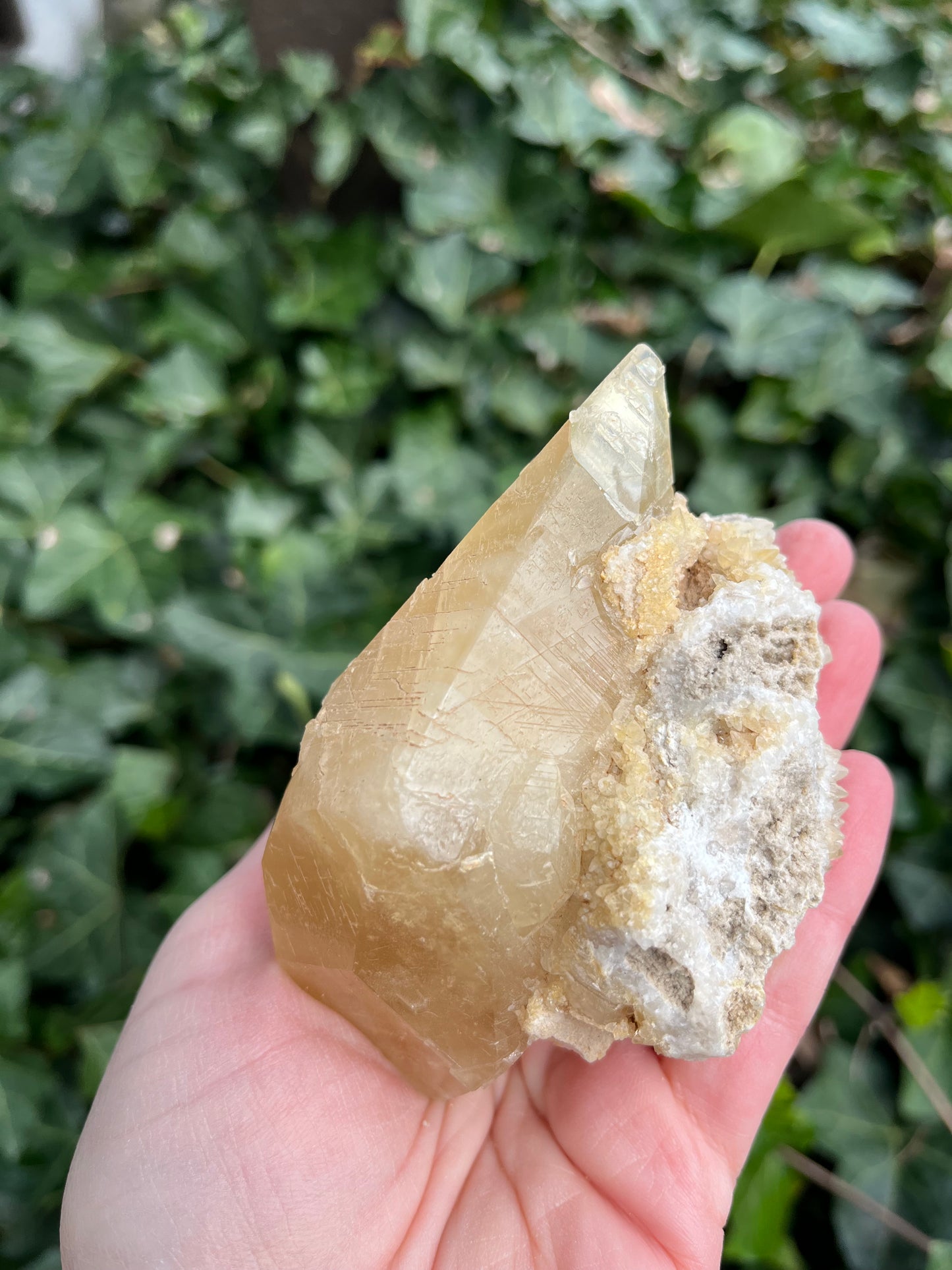 Large Dogtooth Calcite - Montana