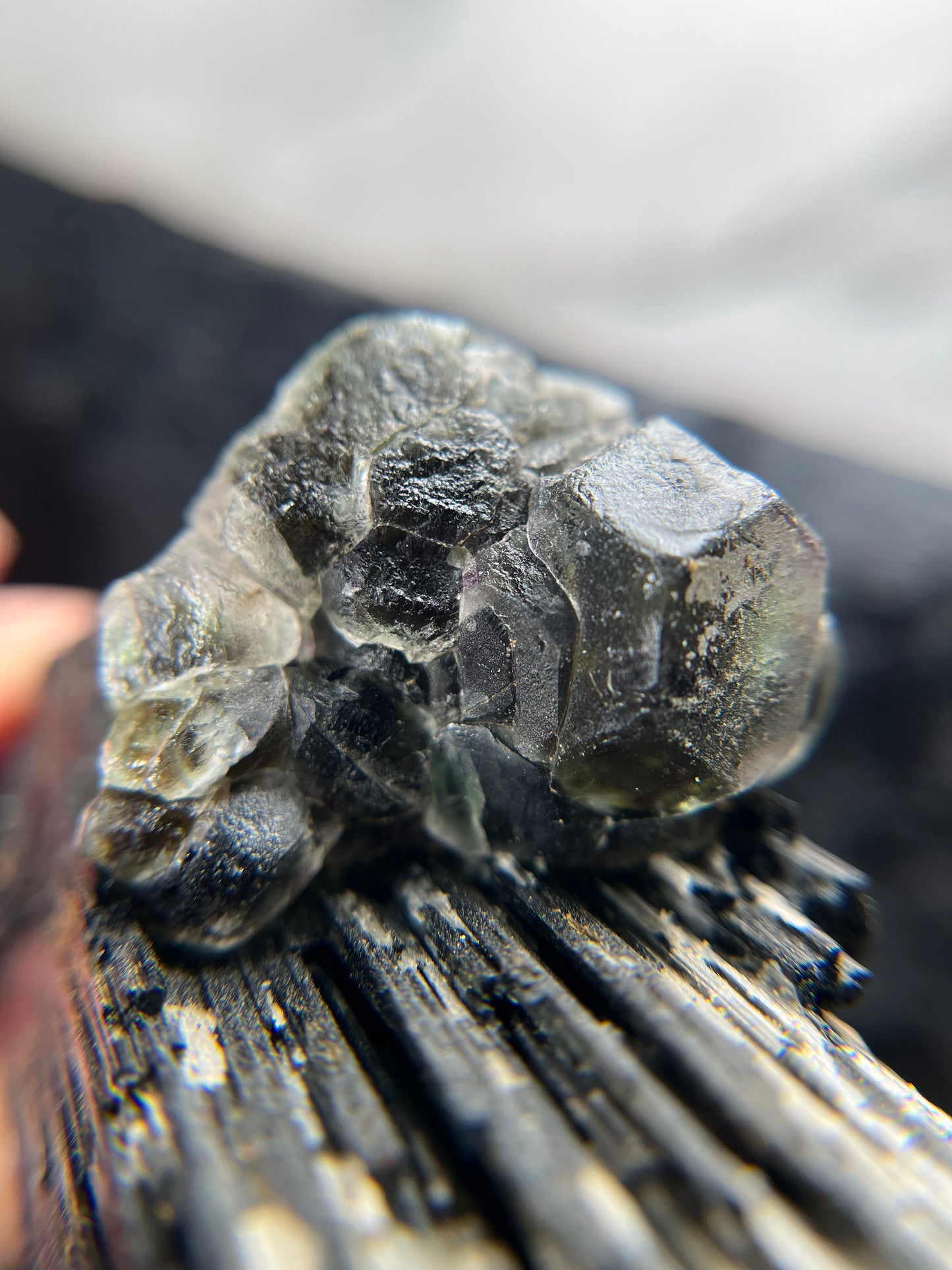 Fluorite on Schorl - Erongo Mnt. Region - Namibia - UV Reactive!