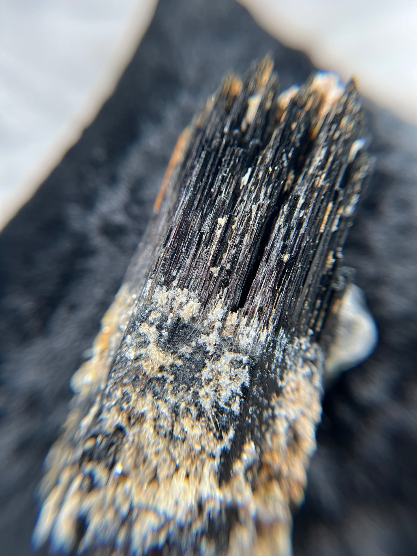 Fluorite on Schorl - Erongo Mnt. Region - Namibia - UV Reactive!