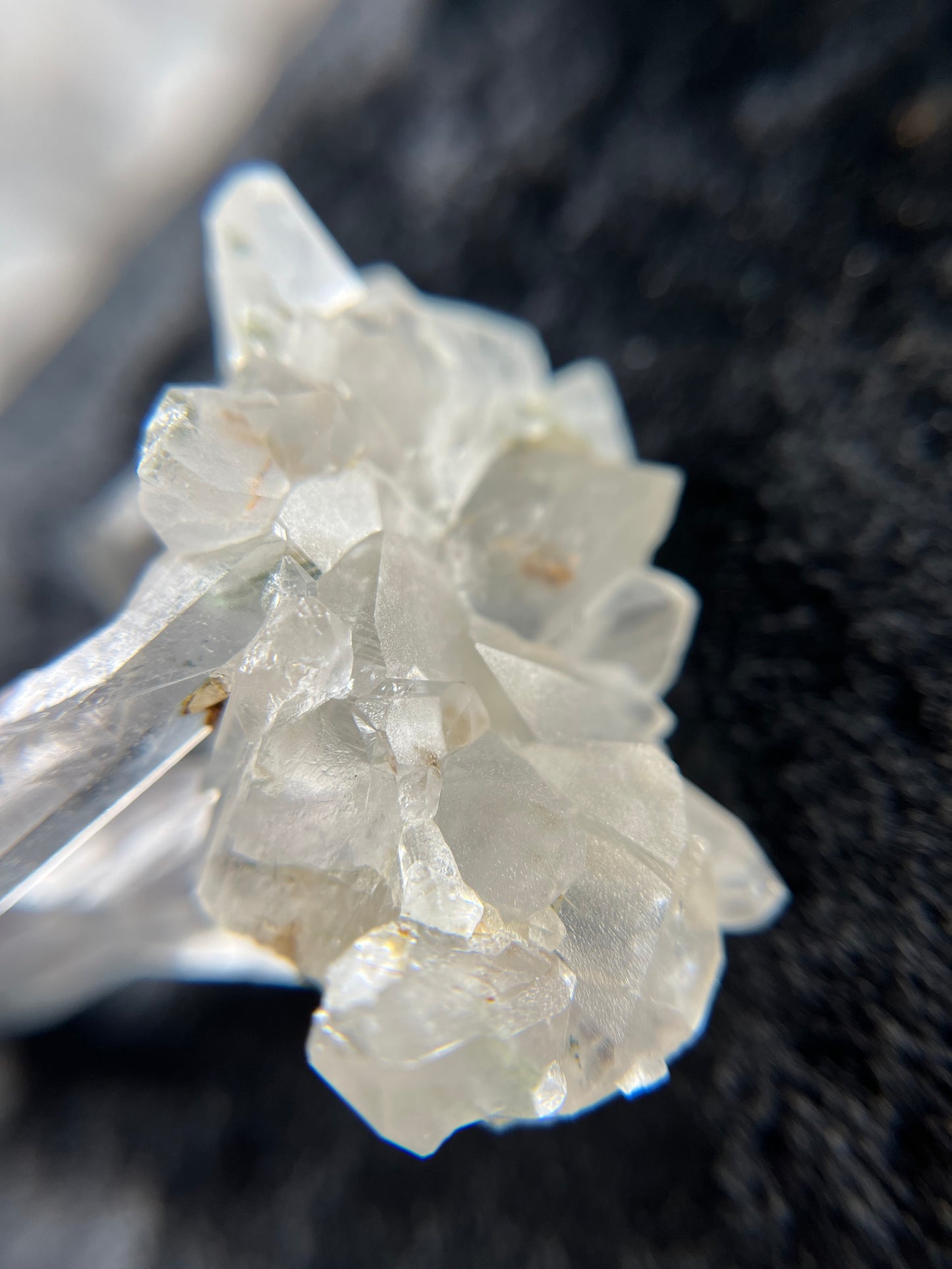 UV Phantom Quartz Cluster w/ Actinolite Inclusions - Washington