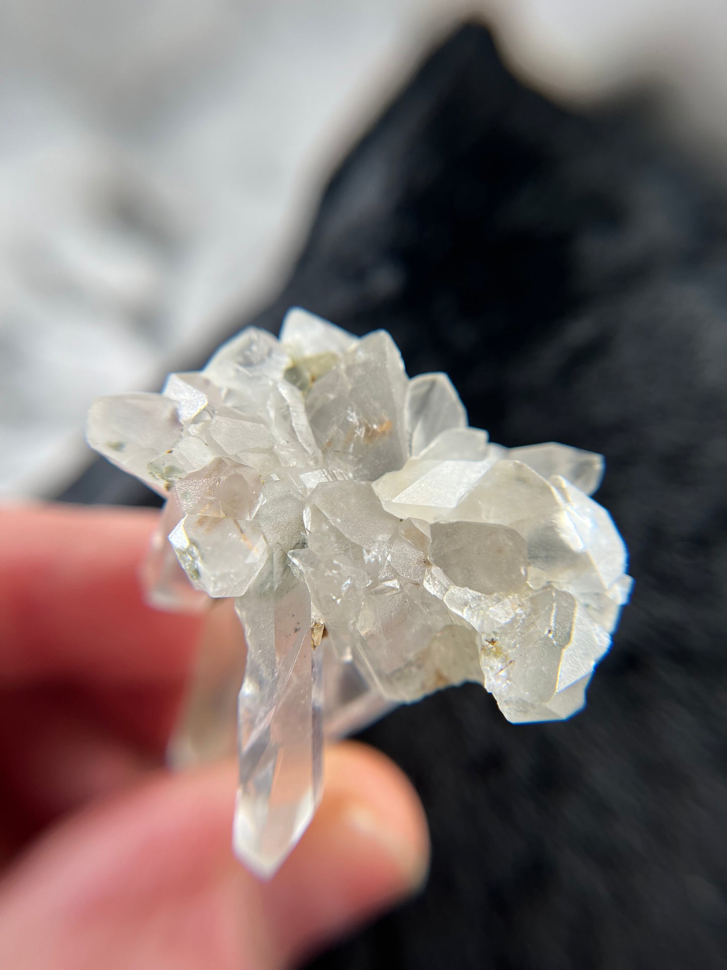 UV Phantom Quartz Cluster w/ Actinolite Inclusions - Washington
