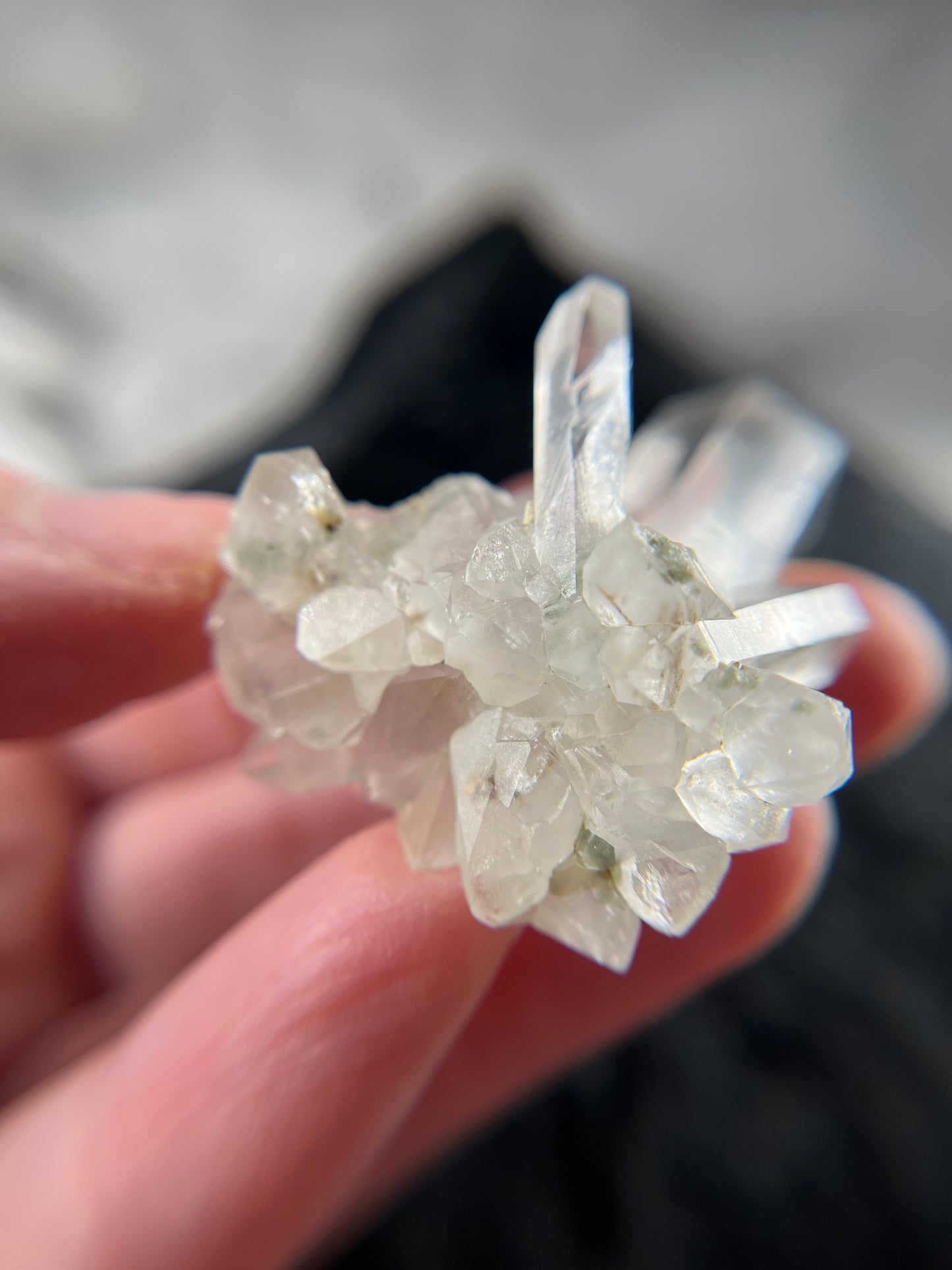 UV Phantom Quartz Cluster w/ Actinolite Inclusions - Washington
