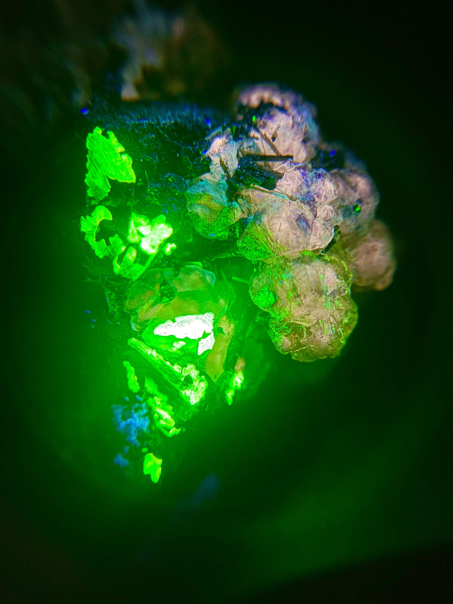 Fluorite, Schorl on Feldspar - Erongo Mnt. Region - Namibia - UV Reactive!