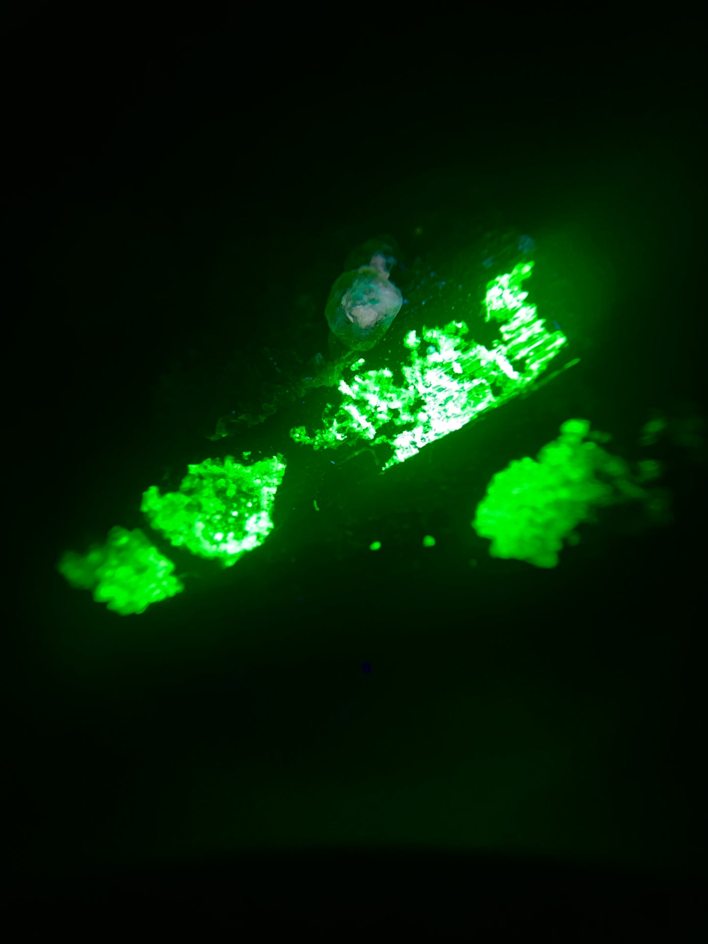 Fluorite on Schorl - Erongo Mnt. Region - Namibia - UV Reactive!