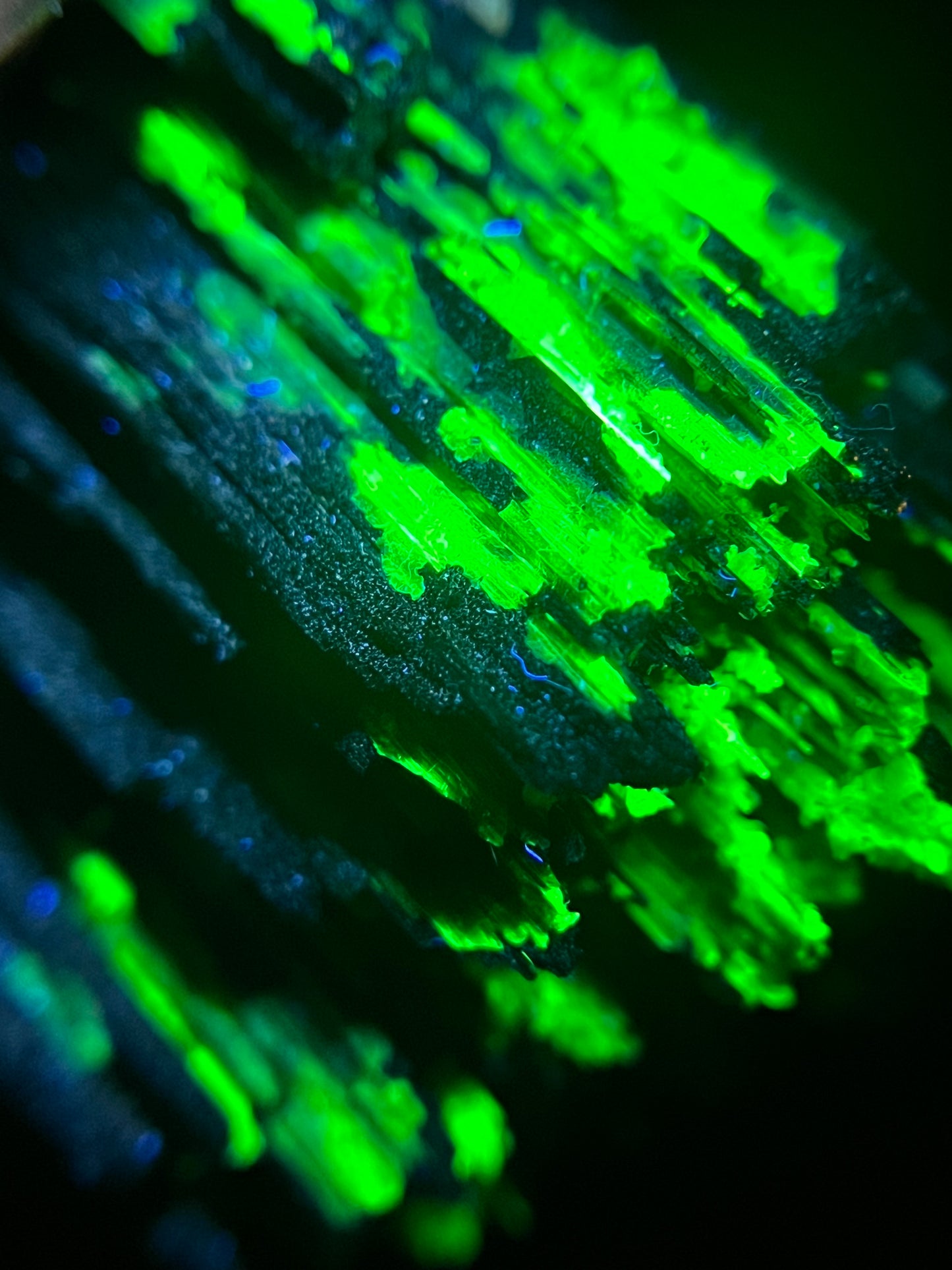 Fluorite on Schorl - Erongo Mnt. Region - Namibia - UV Reactive!