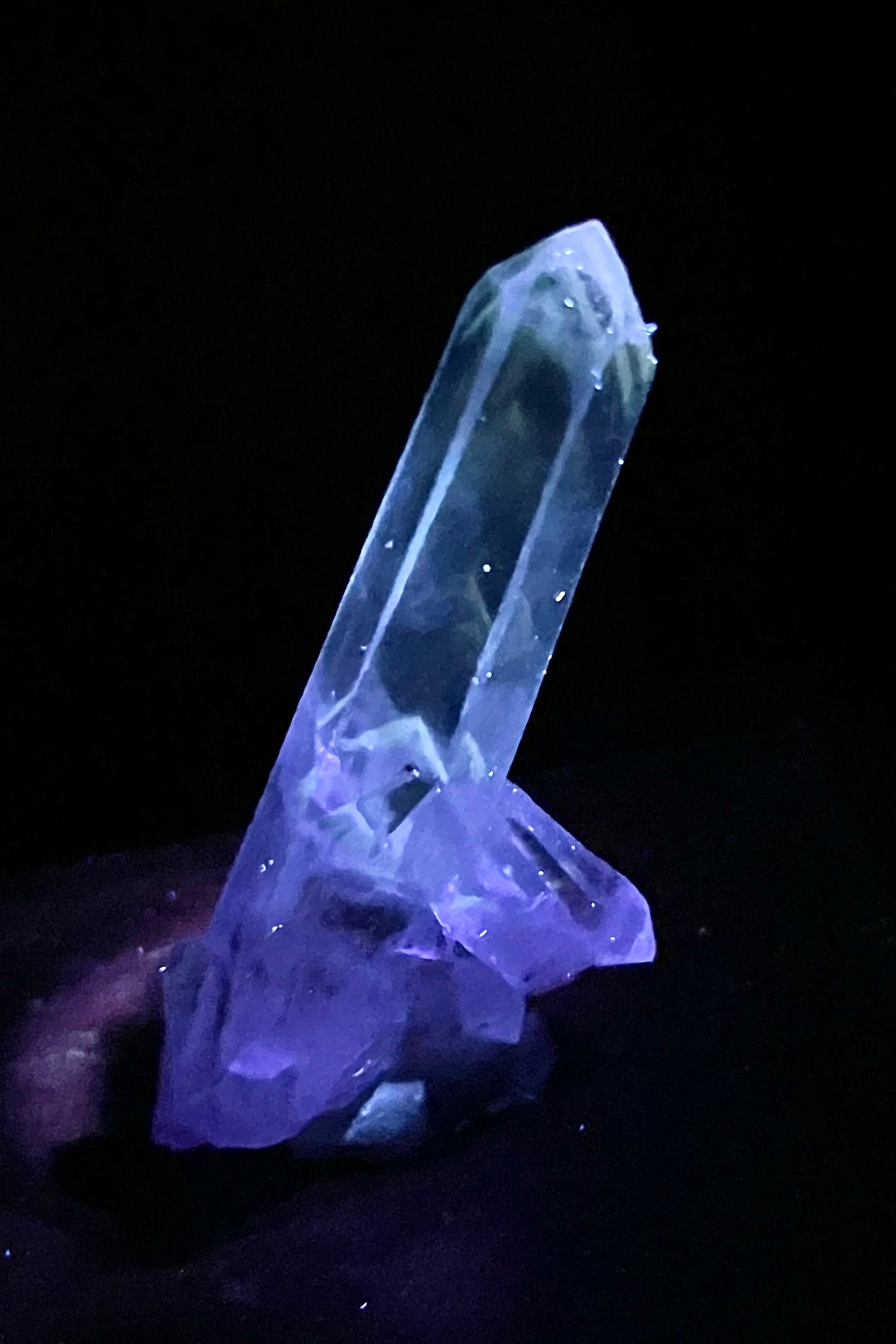 UV Phantom Quartz Cluster w/ Actinolite Inclusions - Washington