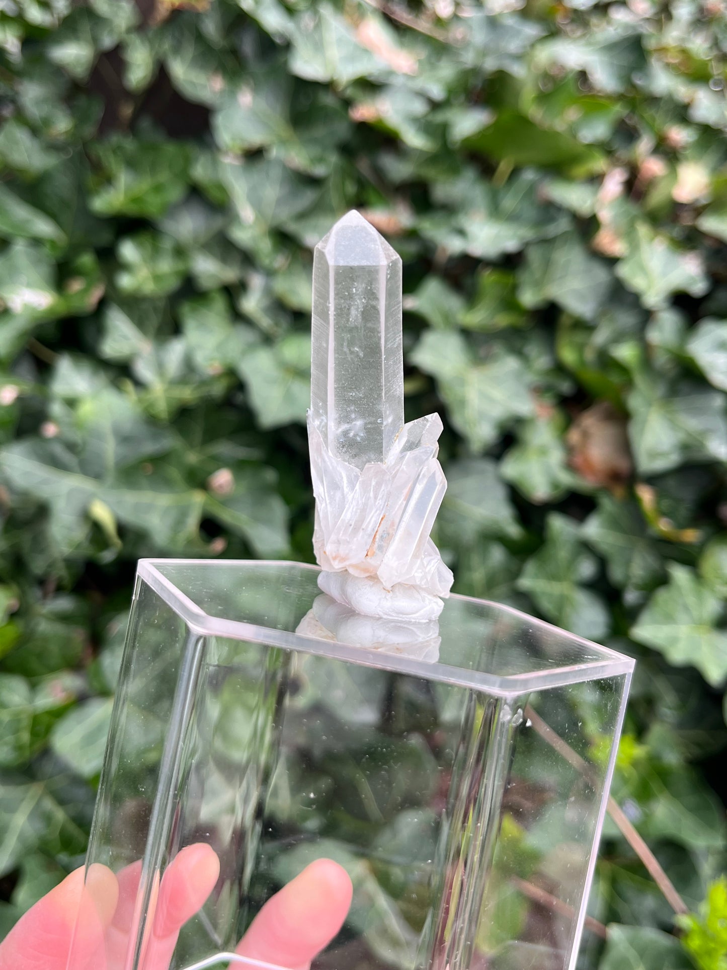 UV Phantom Quartz Cluster w/ Actinolite Inclusions - Washington