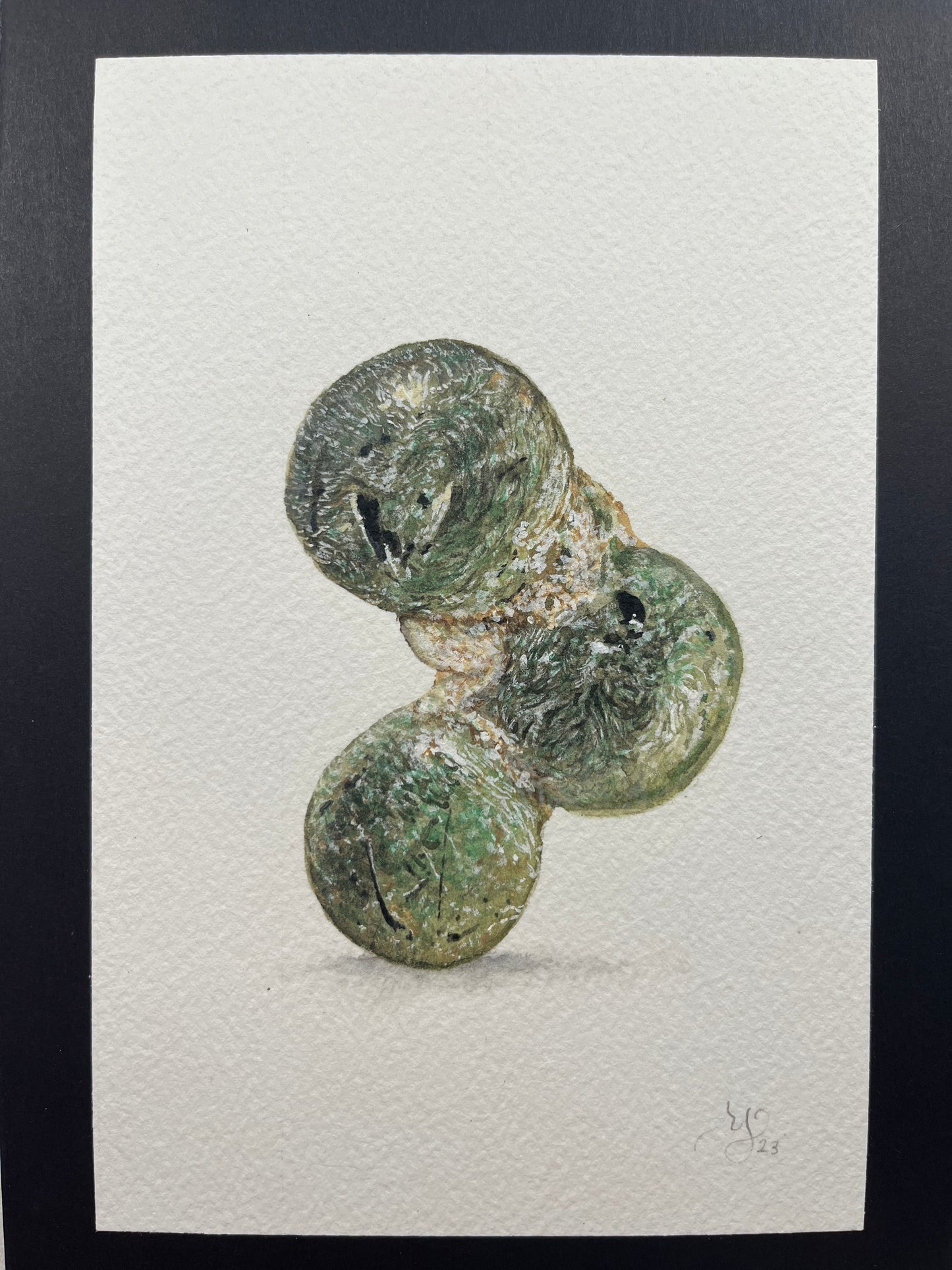 Prehnite watercolor with specimens.