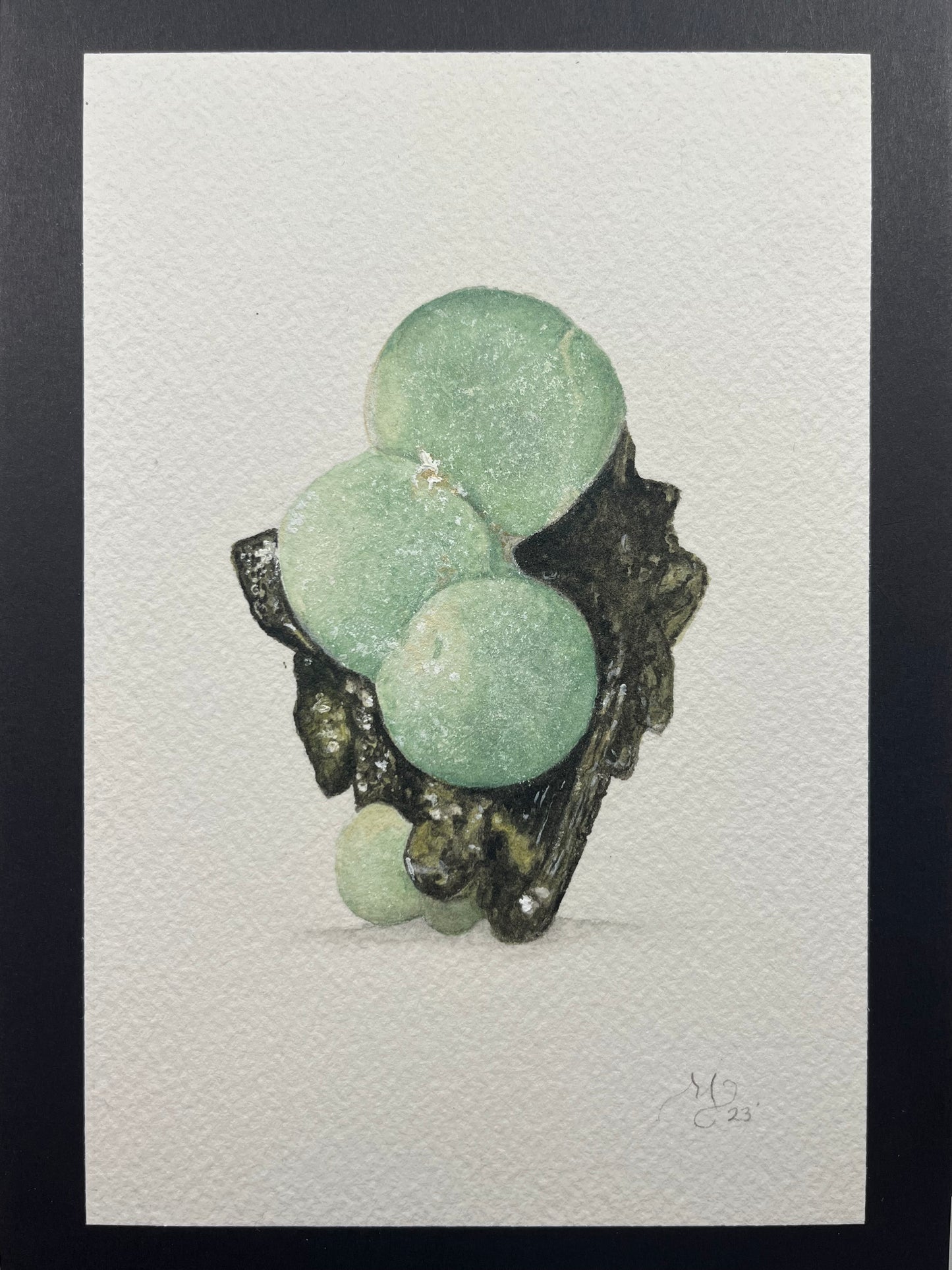 Prehnite w/ epidote watercolor with specimens.