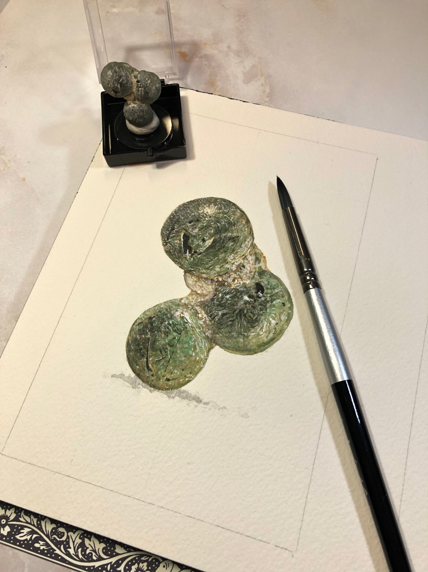 Prehnite watercolor with specimens.