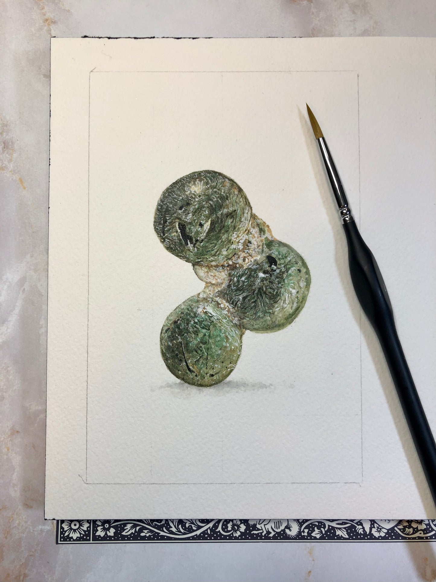 Prehnite watercolor with specimens.