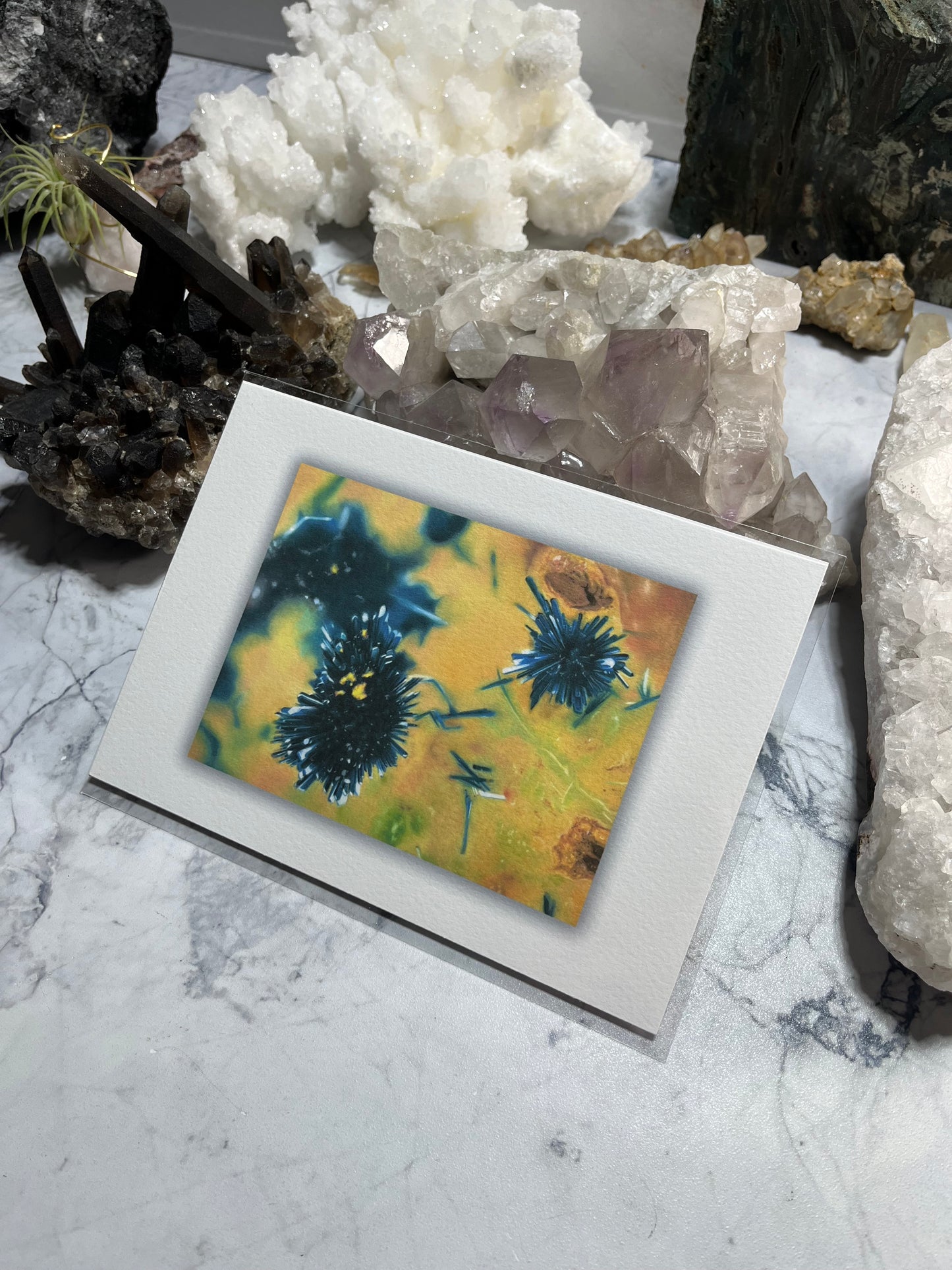 Mini Fine Art Prints 5x7