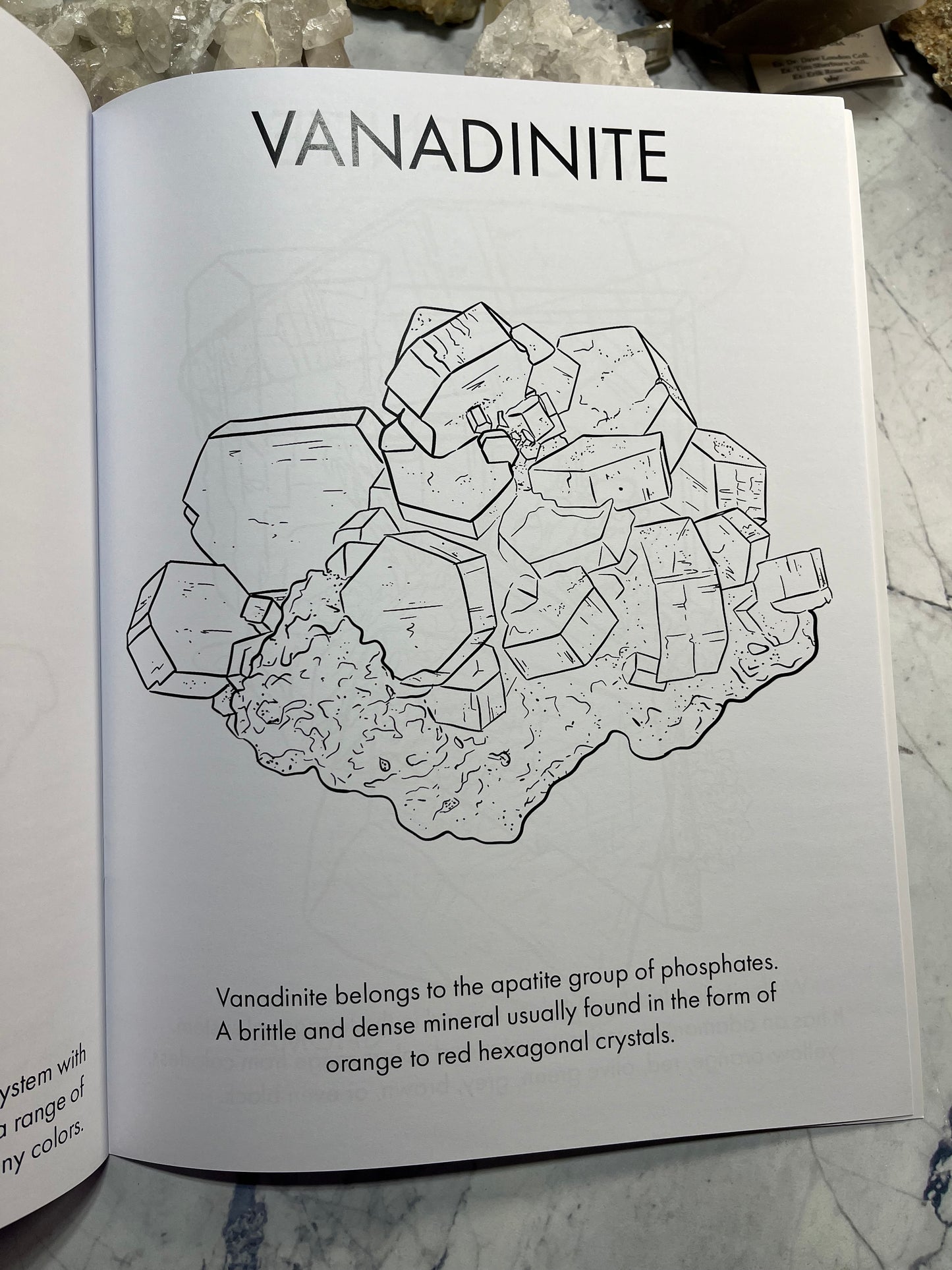 Crystals & Minerals Coloring Book - Limited Edition!