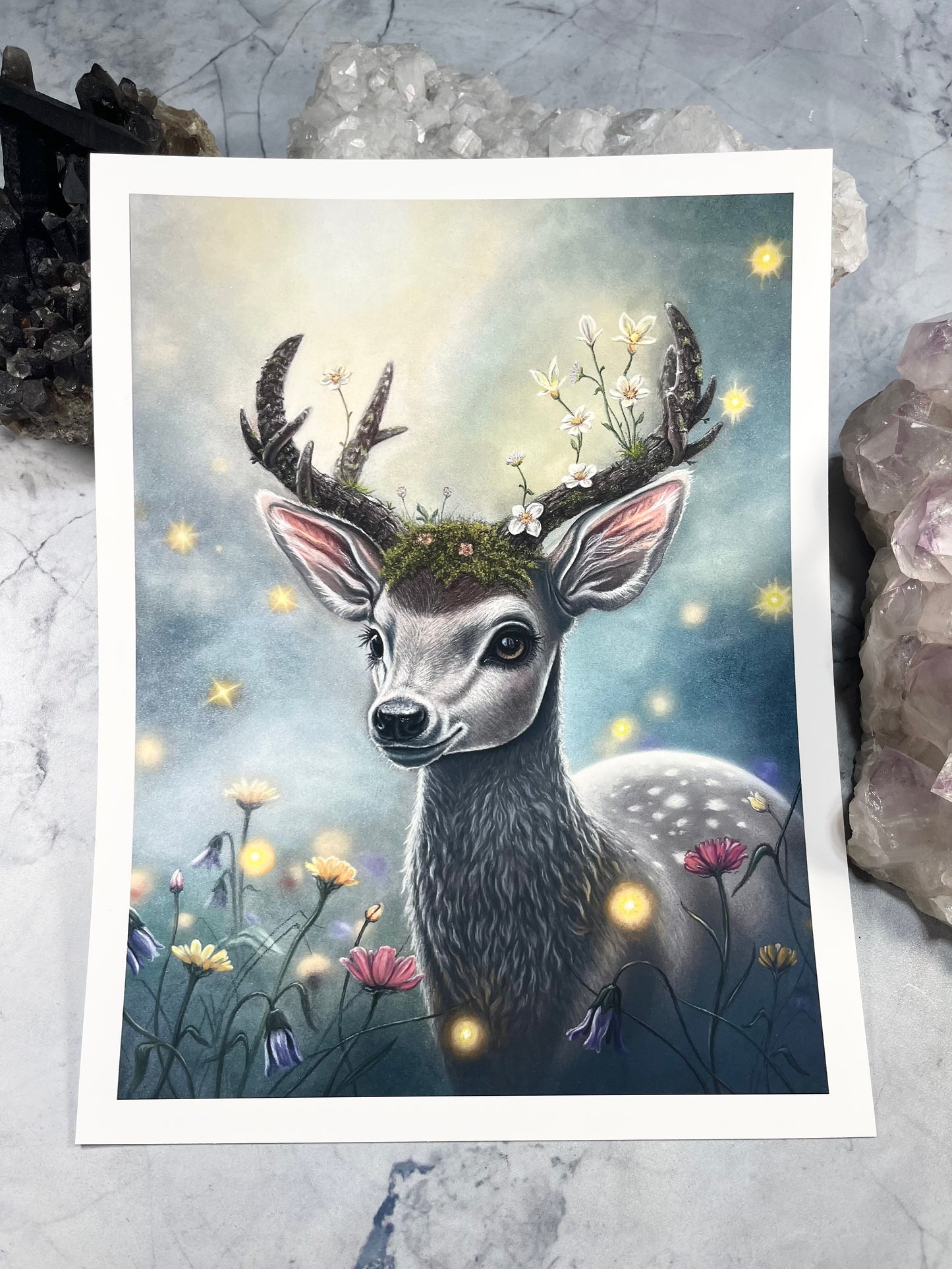 Fawn of the Peaceful Grove - Fine Art Print