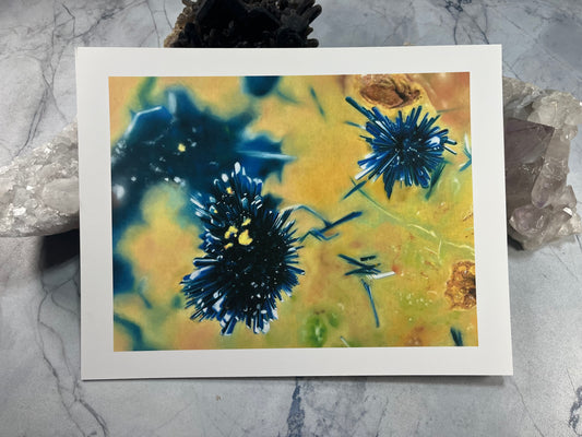 Clinoclase Micro - Nevada - Fine Art Print