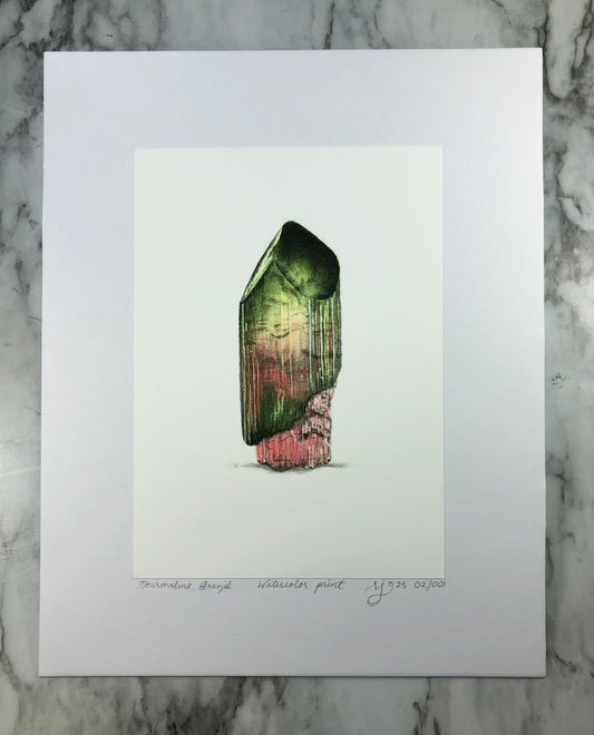 Watermelon Tourmaline - Brazil